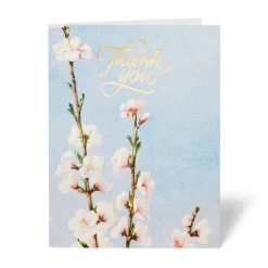 Notecards & Correspondence*The Met Store American Florals Thank-You Cards