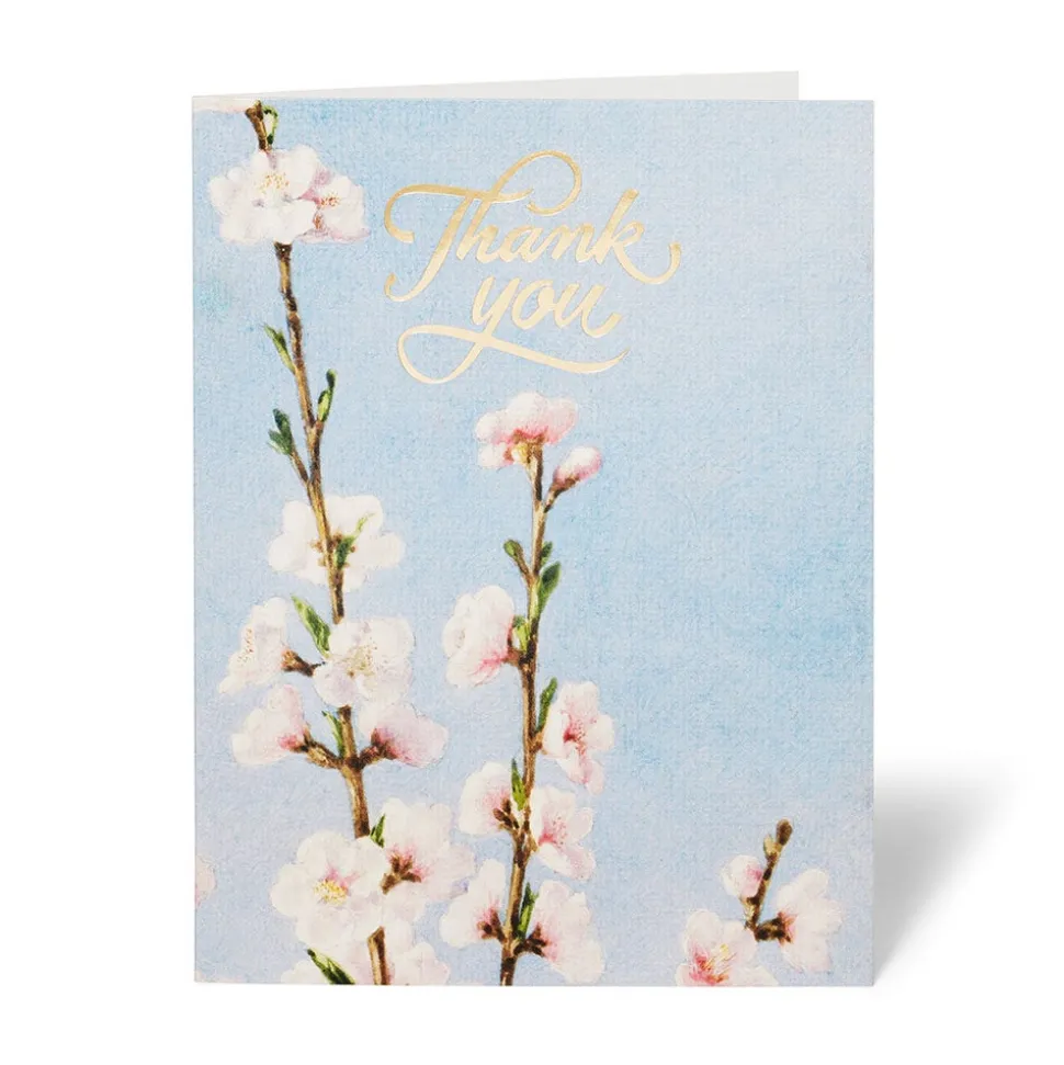 Notecards & Correspondence*The Met Store American Florals Thank-You Cards