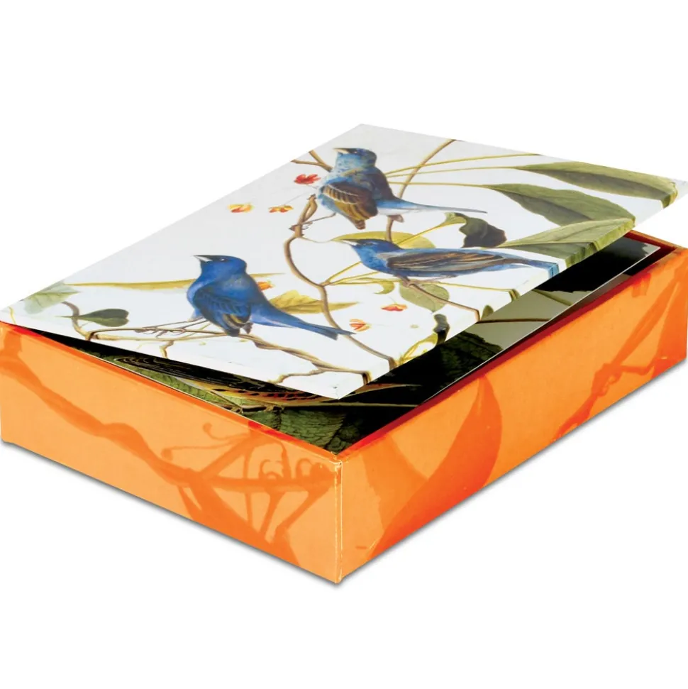 Notecards & Correspondence*The Met Store Audubon Birds Notecards