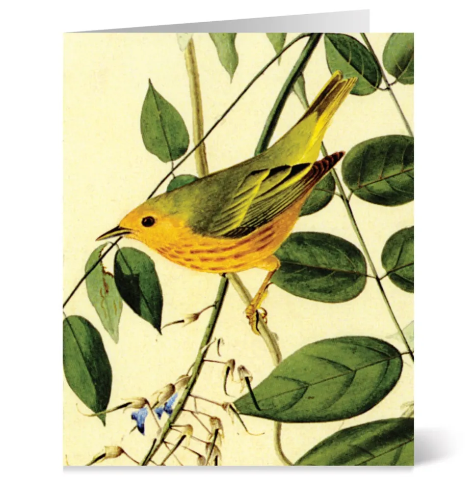 Notecards & Correspondence*The Met Store Audubon Birds Notecards