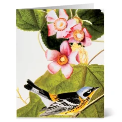 Notecards & Correspondence*The Met Store Audubon Birds Notecards