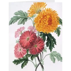 Notecards & Correspondence*The Met Store Botanical Illustrations Notecards