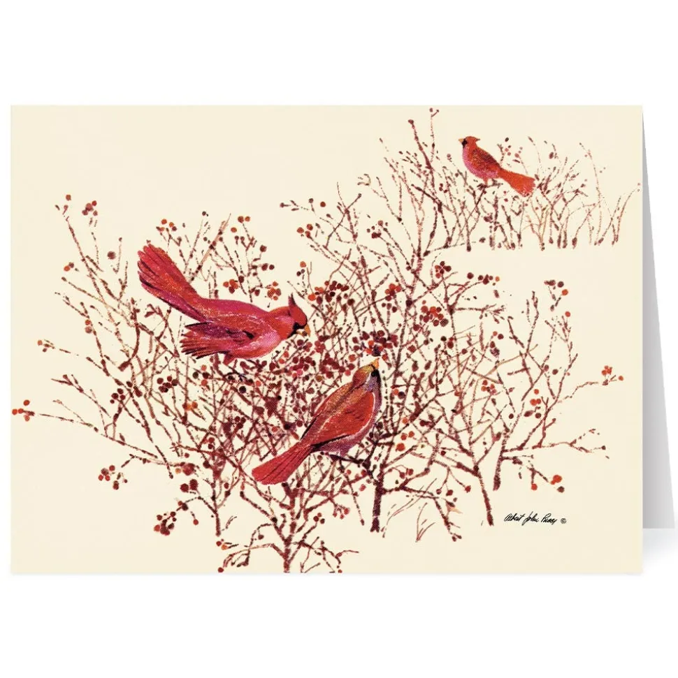 Holiday Cards*The Met Store Pucci: Bushes, Berries, and Birds Holiday Cards