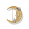 Pins & Brooches*The Met Store Spanish Day and Night Moon Brooch