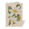 Notecards & Correspondence*The Met Store Studies of Magnolias Quilled Card