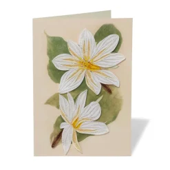 Notecards & Correspondence*The Met Store Studies of Magnolias Quilled Card