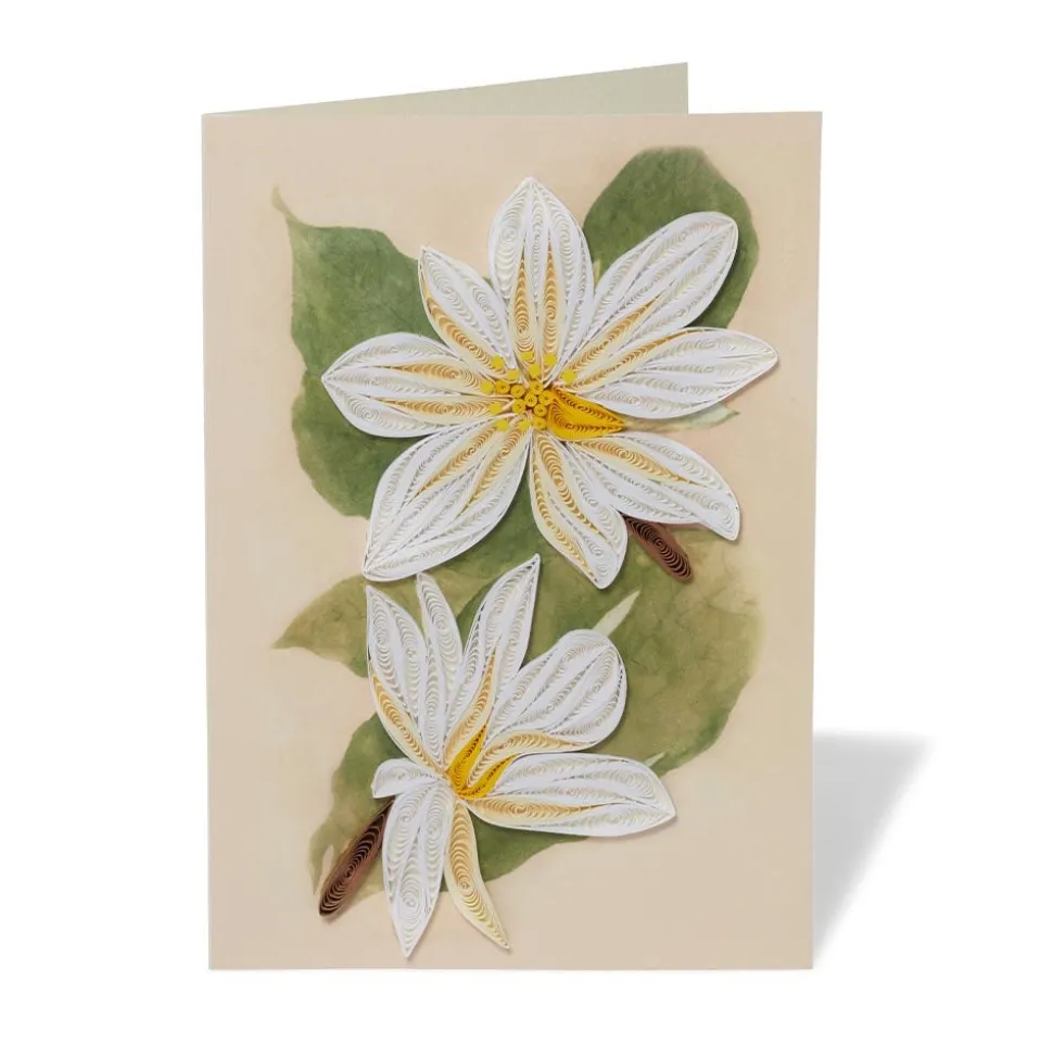 Notecards & Correspondence*The Met Store Studies of Magnolias Quilled Card
