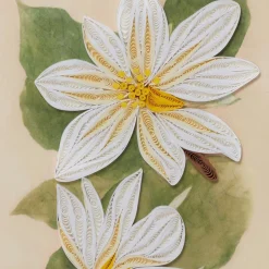 Notecards & Correspondence*The Met Store Studies of Magnolias Quilled Card