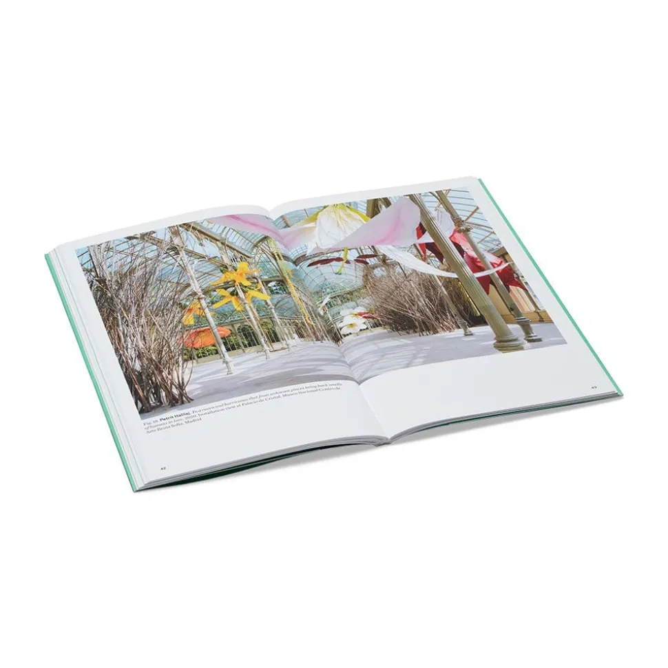 Met Publications|Exhibition Catalogues*The Met Store The Roof Garden Commission: Petrit Halilaj, Abetare