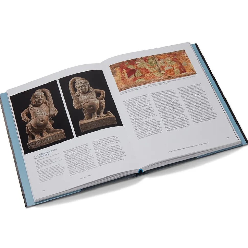 Met Publications|Exhibition Catalogues*The Met Store Tree & Serpent: Early Buddhist Art in India